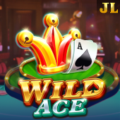 Wild Ace - bet 100 game